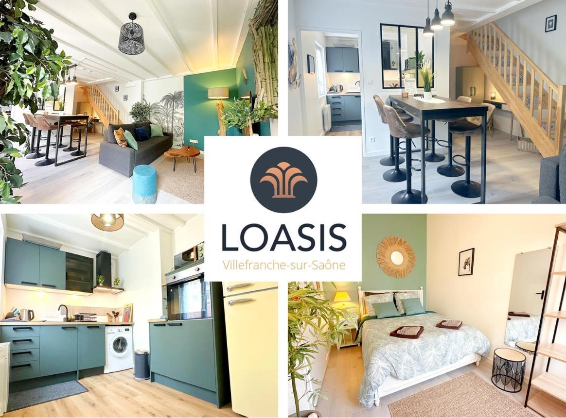 Loasis - Duplex T4 Hypercentre Apartman Villefranche-sur-Saône Kültér fotó